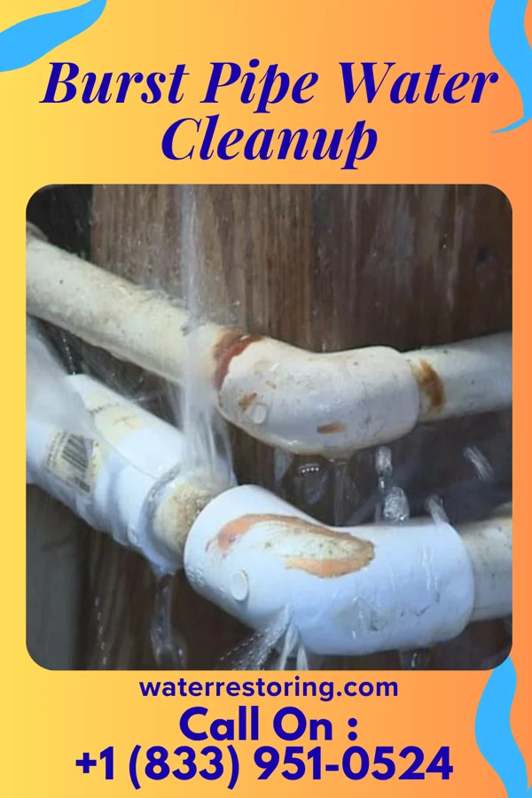 Burst Pipe Water Cleanup in Tanque Verde, AZ