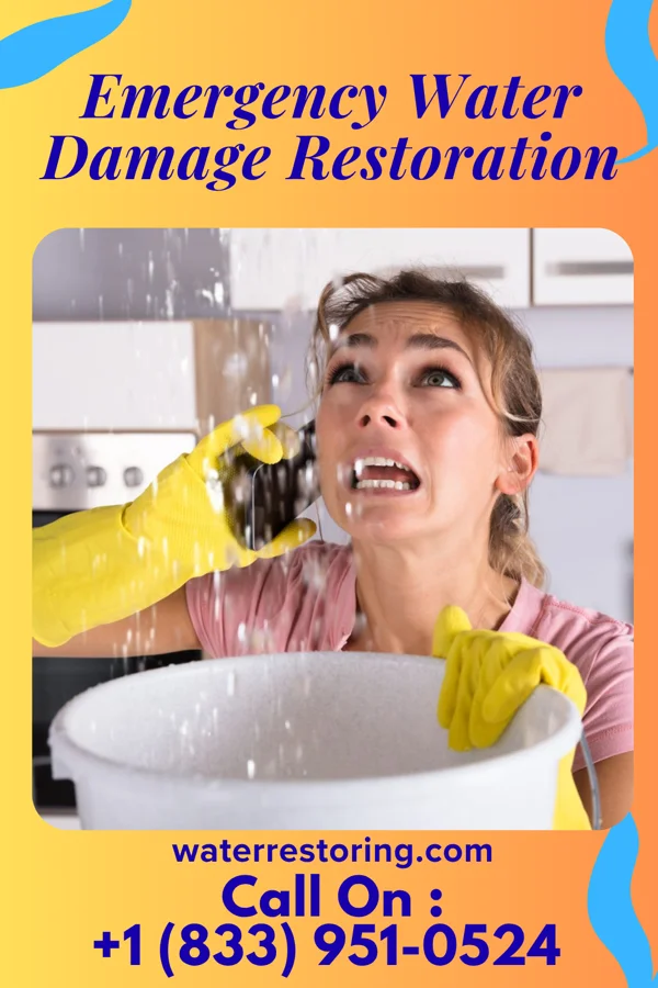 Emergency Water Damage Restoration in Tanque Verde, AZ