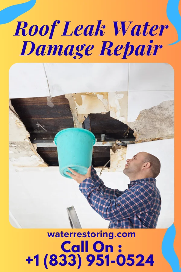 Roof Leak Water Damage Repair in Tanque Verde, AZ