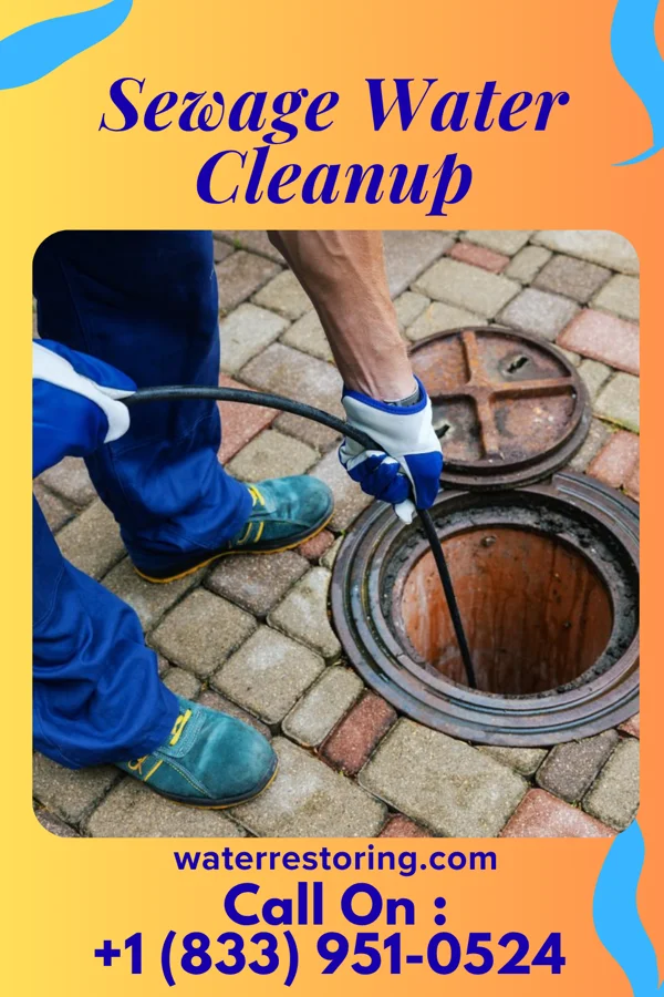 Sewage Water Cleanup in Tanque Verde, AZ